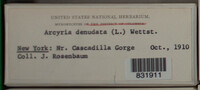 Image Associated With the Occurence